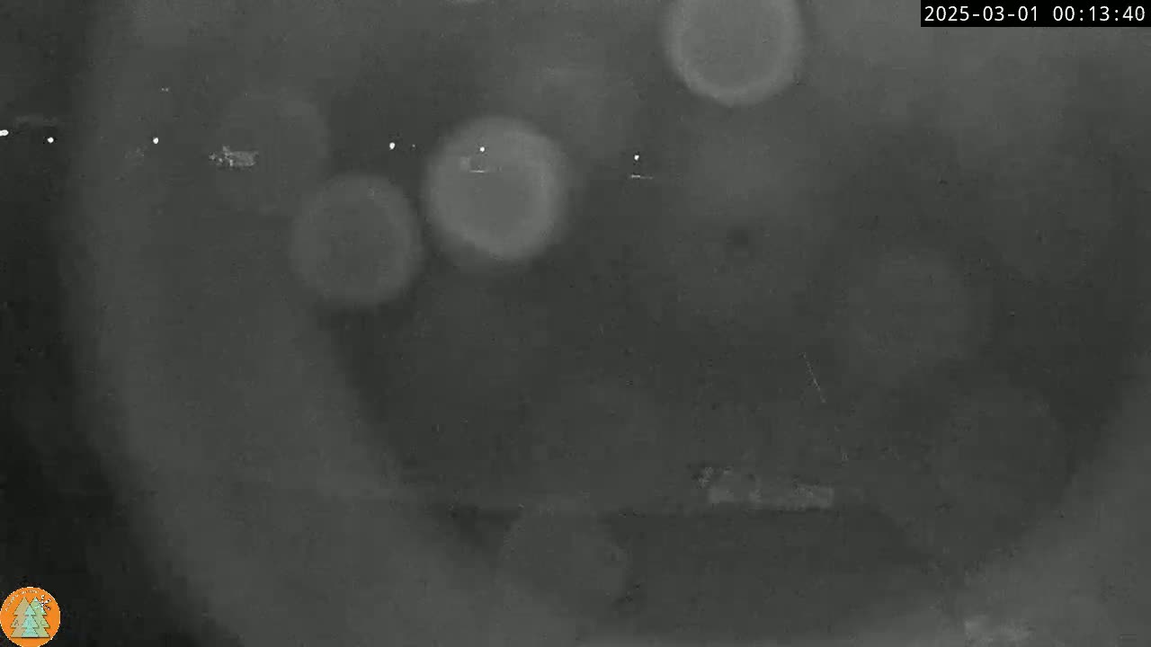 A nighttime, blurry, low-light image shows an indistinct outdoor scene with several out-of-focus lights in the distance.