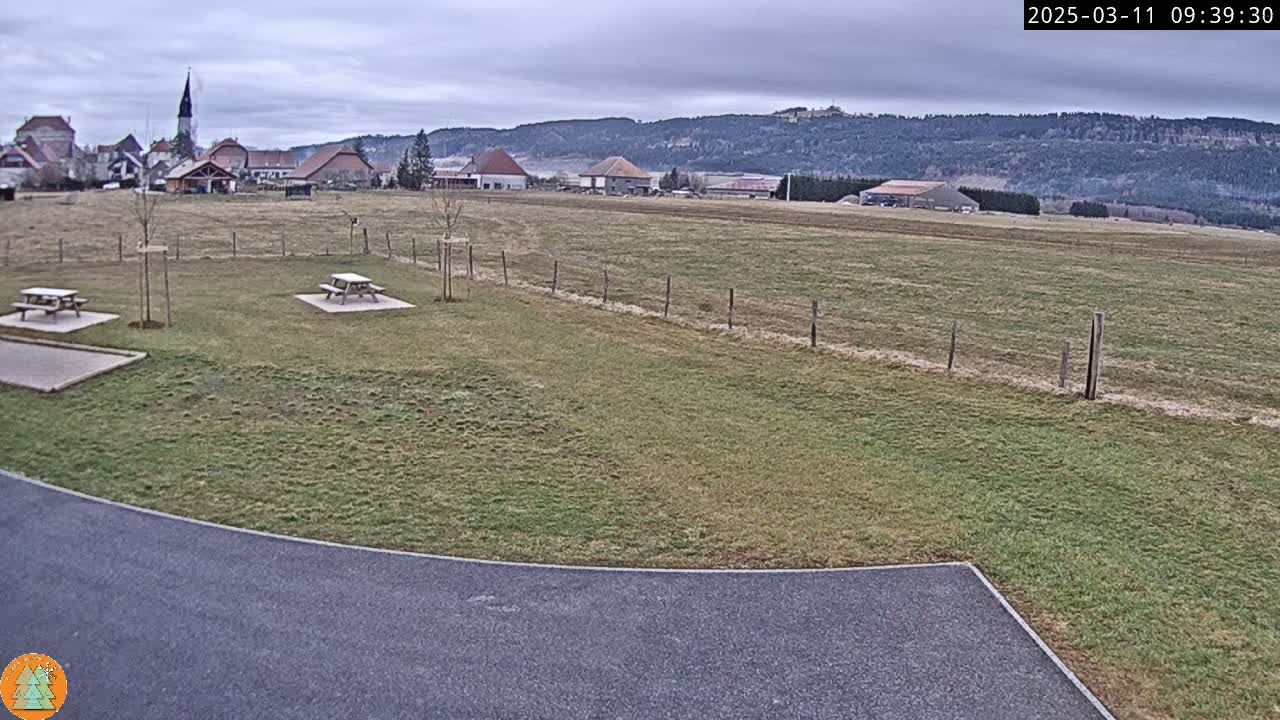 A grassy field with two picnic tables, a paved area, and a village in the background under an overcast sky.