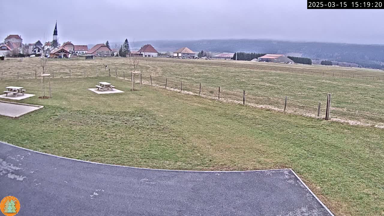 A grassy field with two picnic tables, a paved area, and a small village in the background under an overcast sky.