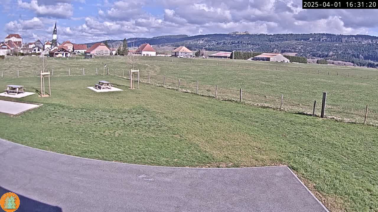 A grassy field with picnic tables and a small village in the background under a partly cloudy sky.