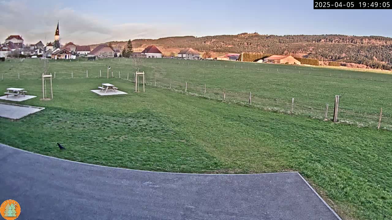 A grassy field with picnic tables, a small village in the background, and a single bird near a paved area under a clear evening sky.