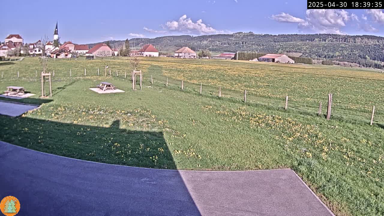 A sunny day reveals a grassy field dotted with yellow flowers, two picnic tables, a paved area, and a small village nestled in the background against a backdrop of rolling hills and forest.