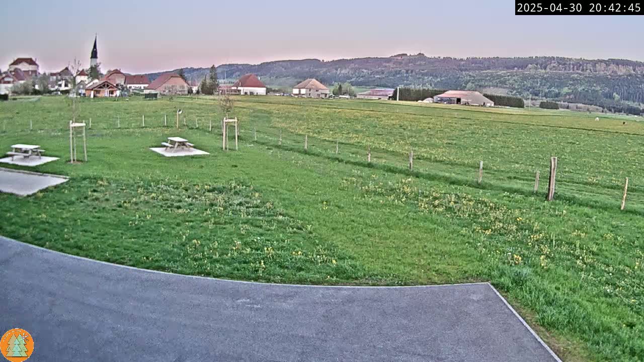 A grassy field with two picnic tables, a small village in the background, and a paved area in the foreground under a twilight sky.