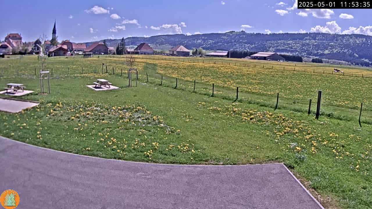 A sunny day reveals a grassy field speckled with yellow flowers, two picnic tables, a village in the distance, and a paved area in the foreground.