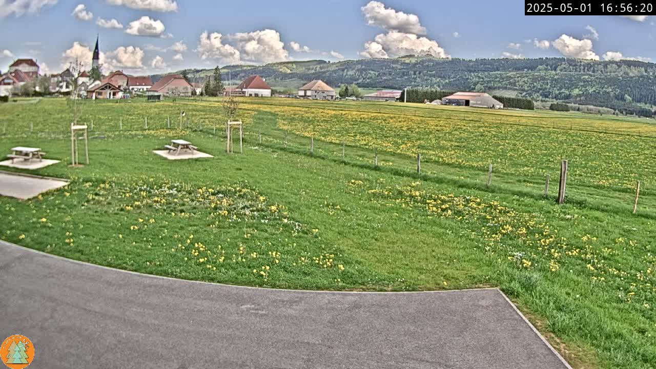 A grassy field dotted with yellow flowers sits in front of a small village nestled against a backdrop of rolling green hills under a partly cloudy sky.