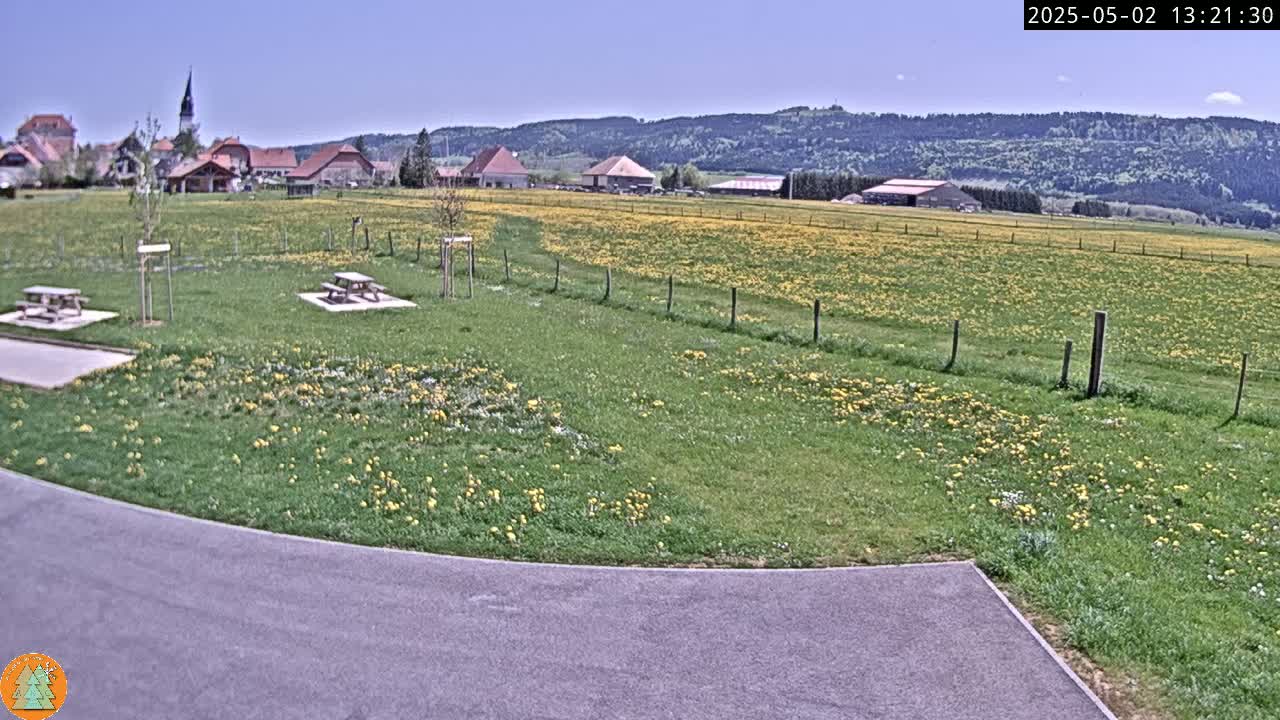 A grassy field dotted with yellow flowers stretches out before a small village nestled against a backdrop of forested hills under a clear blue sky.