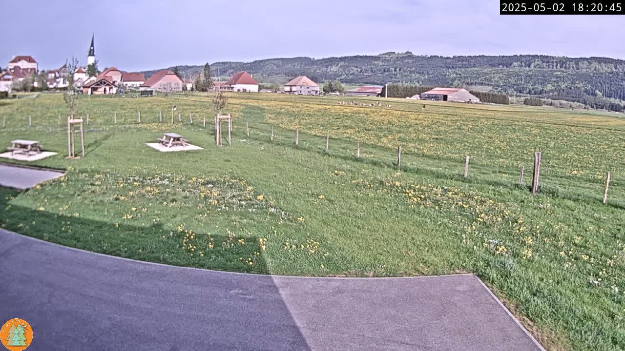 A grassy field dotted with yellow flowers stretches before a small village nestled against a hillside under a mostly clear sky.