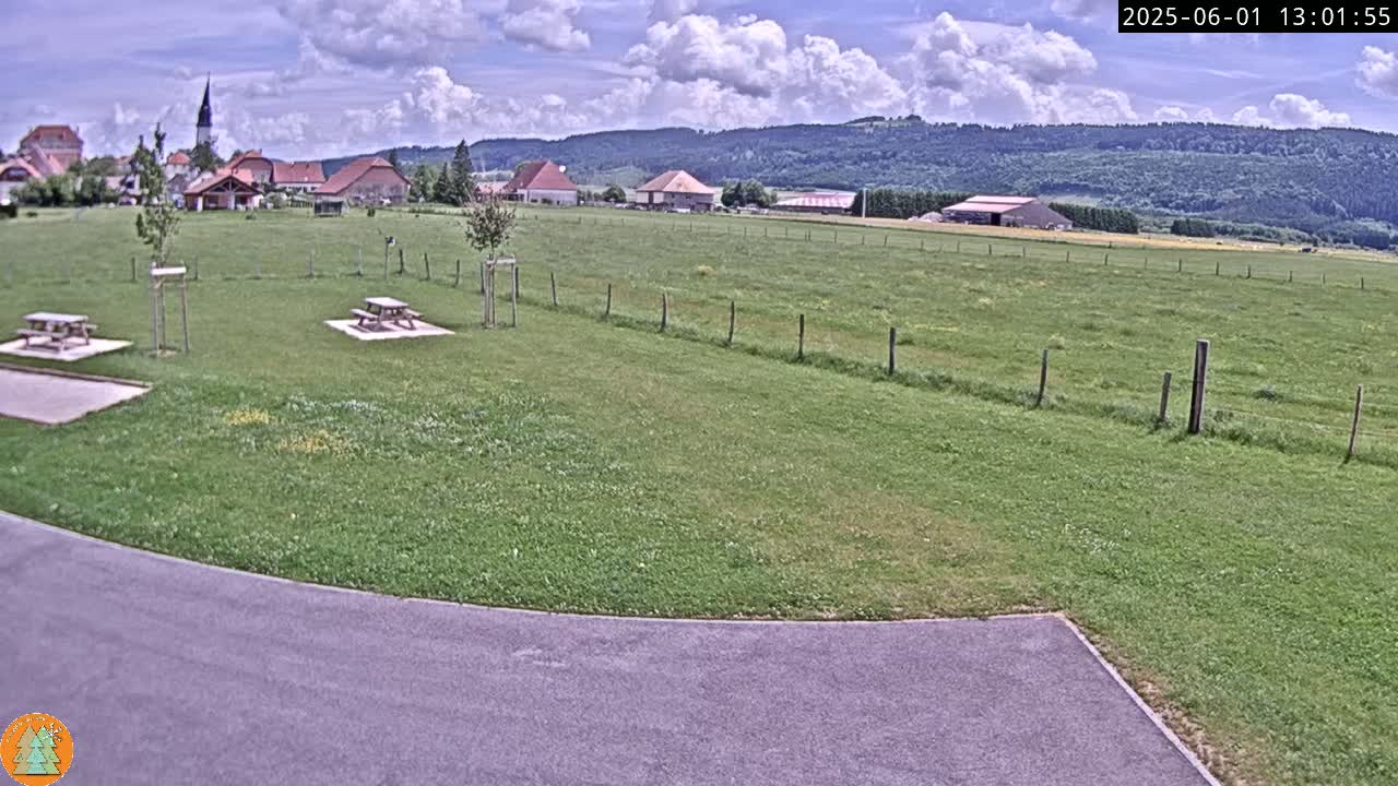 A grassy field with picnic tables and a small village in the background under a partly cloudy sky.