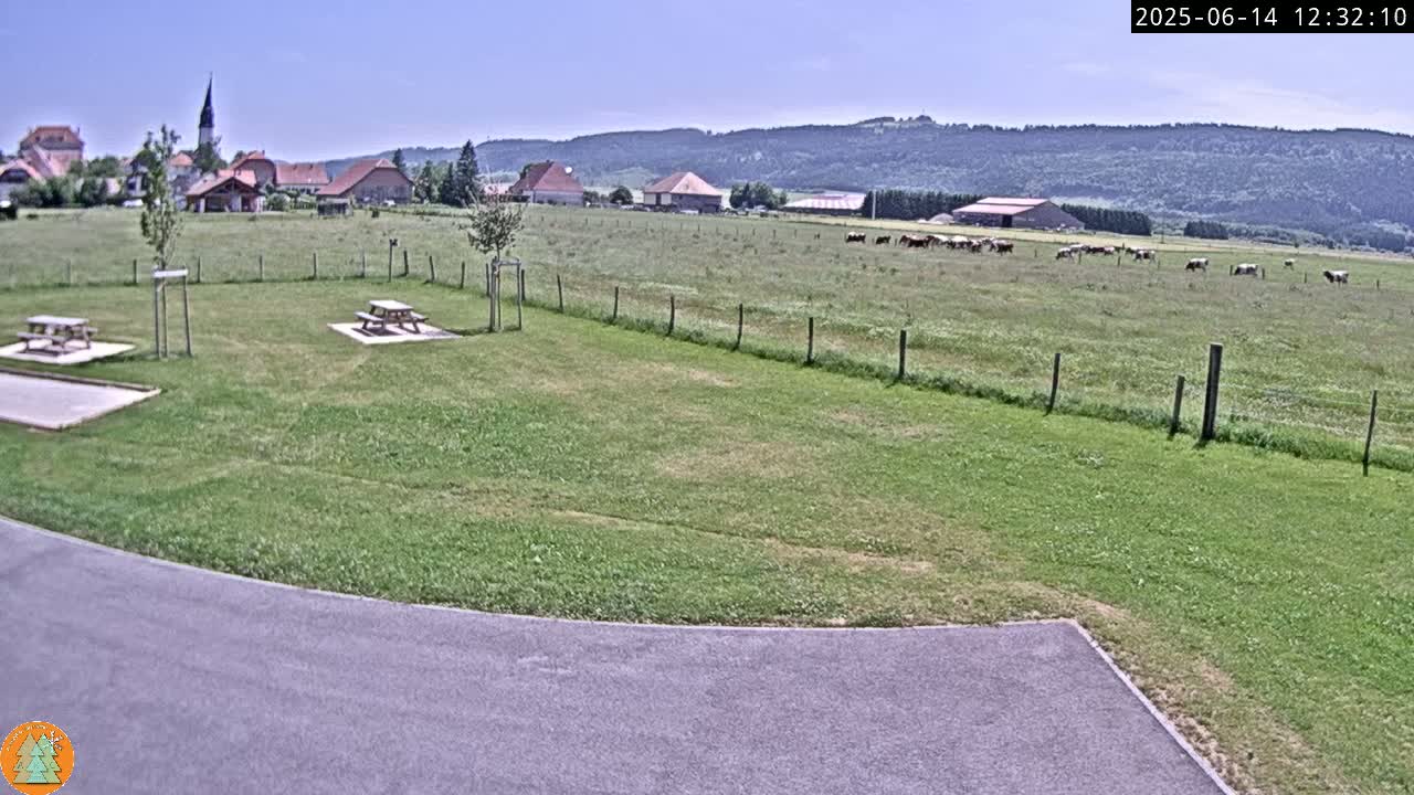 A grassy area with two picnic tables, a paved path, and a distant view of a village and cattle grazing in a field under a clear blue sky.