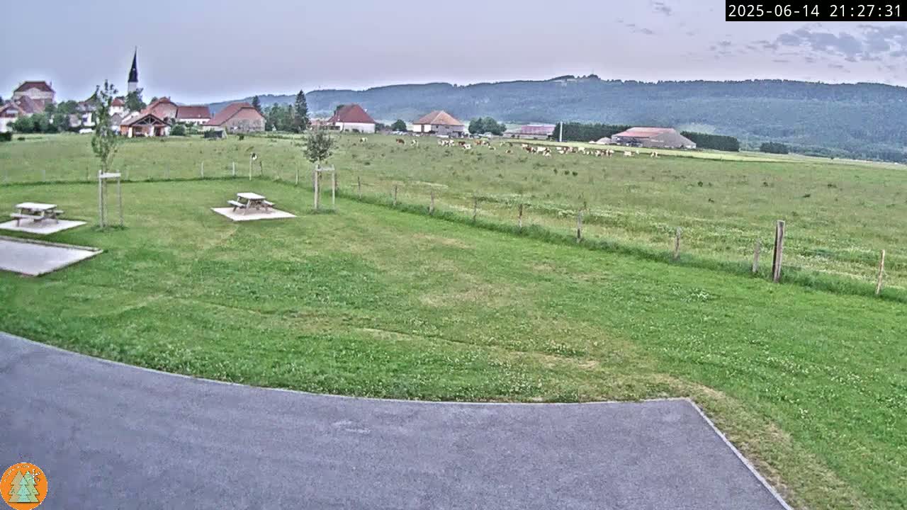 A grassy field with picnic tables and a small village in the background under a mostly sunny sky.