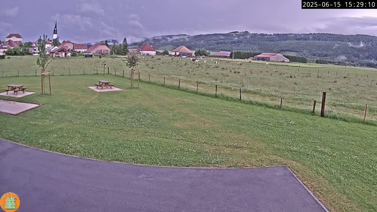 A grassy field with picnic tables, a small village in the background, and cows grazing under a cloudy sky.