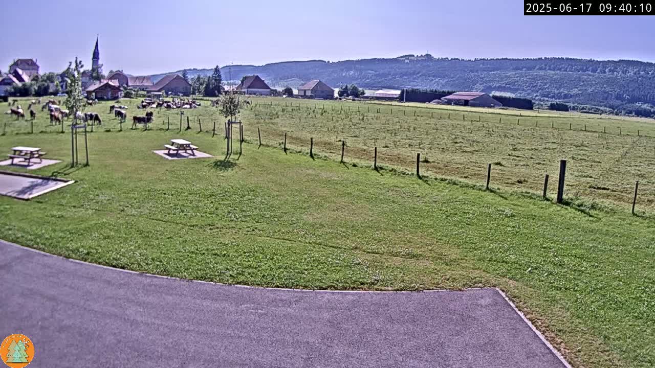 A grassy field with cows, picnic tables, and a small village in the background under a sunny sky.