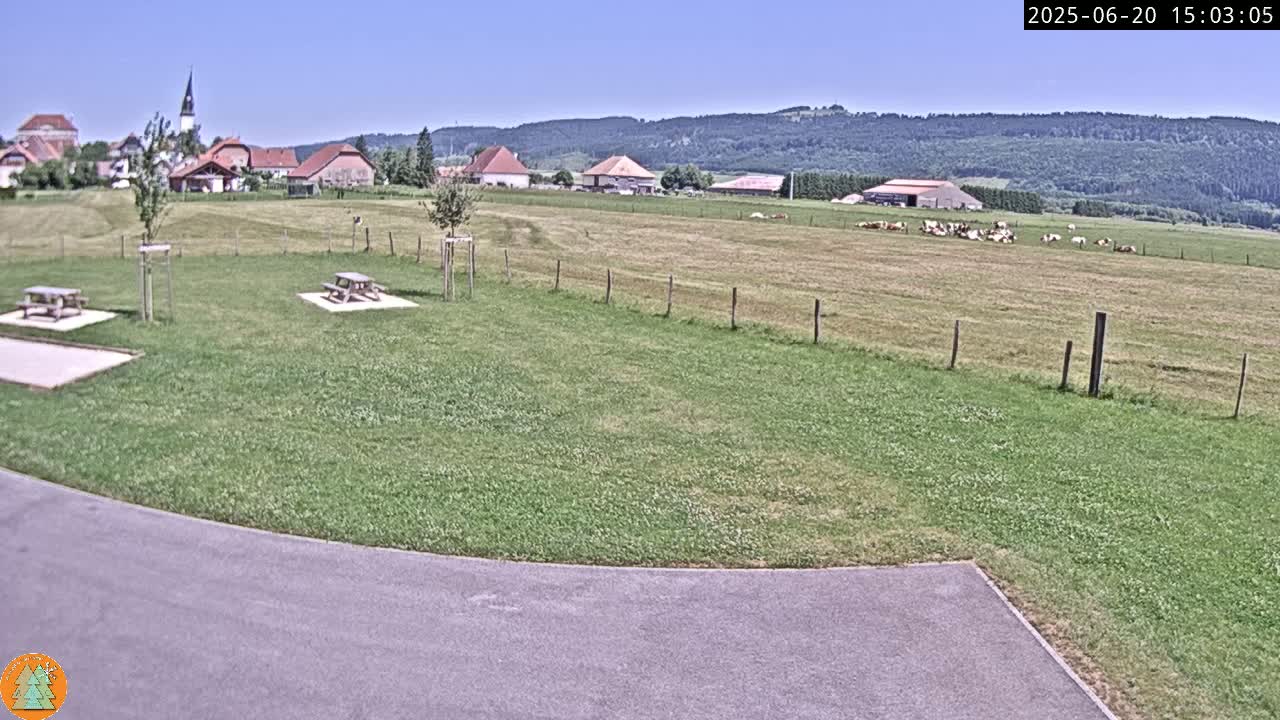 A grassy field with picnic tables and a few cows is visible in front of a small village nestled at the foot of a tree-covered mountain range under a clear blue sky.