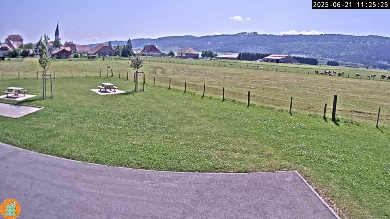 A grassy field with two picnic tables, a paved area, a village in the distance, and cows grazing under a sunny sky.