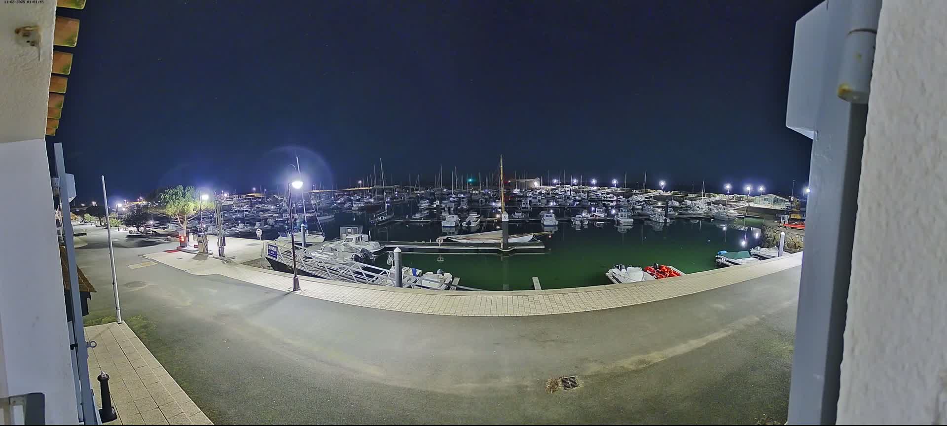 A marina filled with numerous boats is illuminated at night under a clear, dark sky.