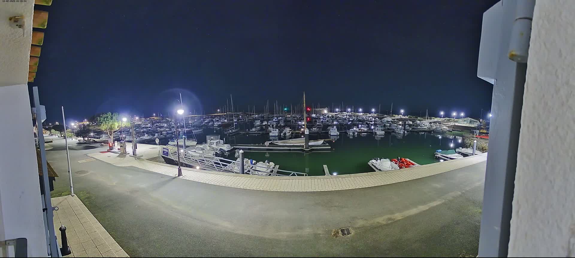 A marina filled with numerous boats is illuminated at night under a clear, dark sky.