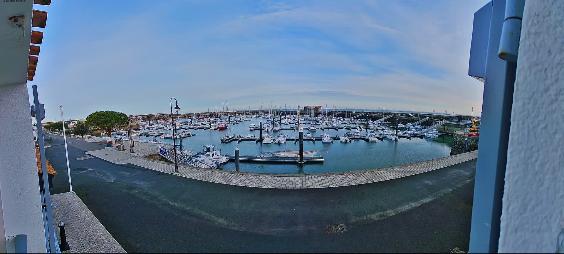 A marina filled with numerous boats is visible under a clear, bright sky.