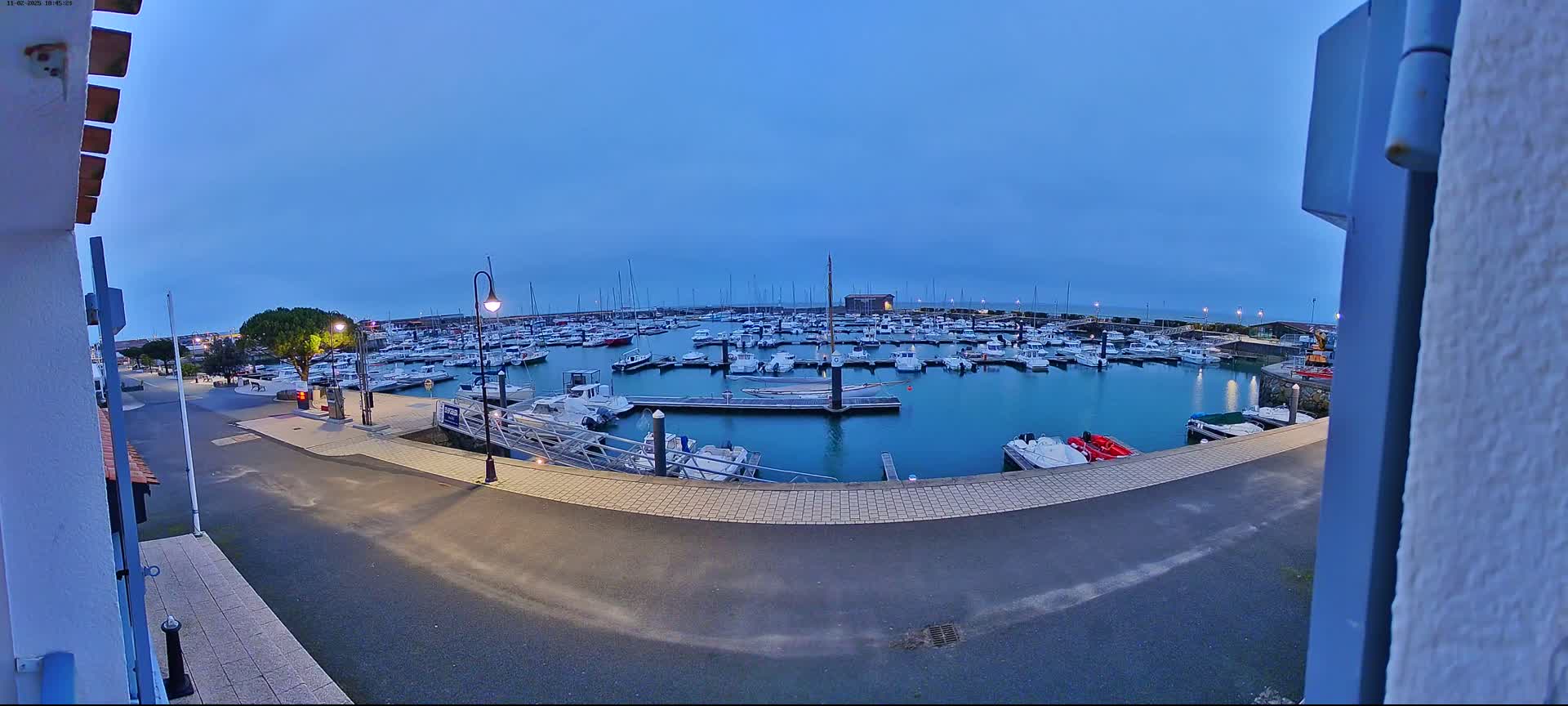 A marina filled with numerous boats is seen at dusk under a clear, twilight sky.