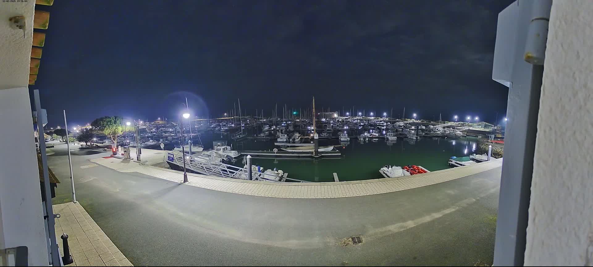 A nighttime view of a marina filled with many boats, illuminated by artificial lights under a dark, clear sky.