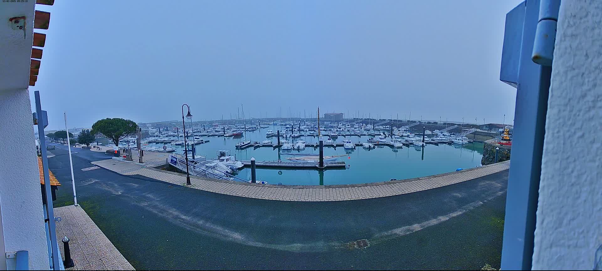 A foggy view of a marina filled with numerous boats, seen from a slightly elevated vantage point near a paved area.