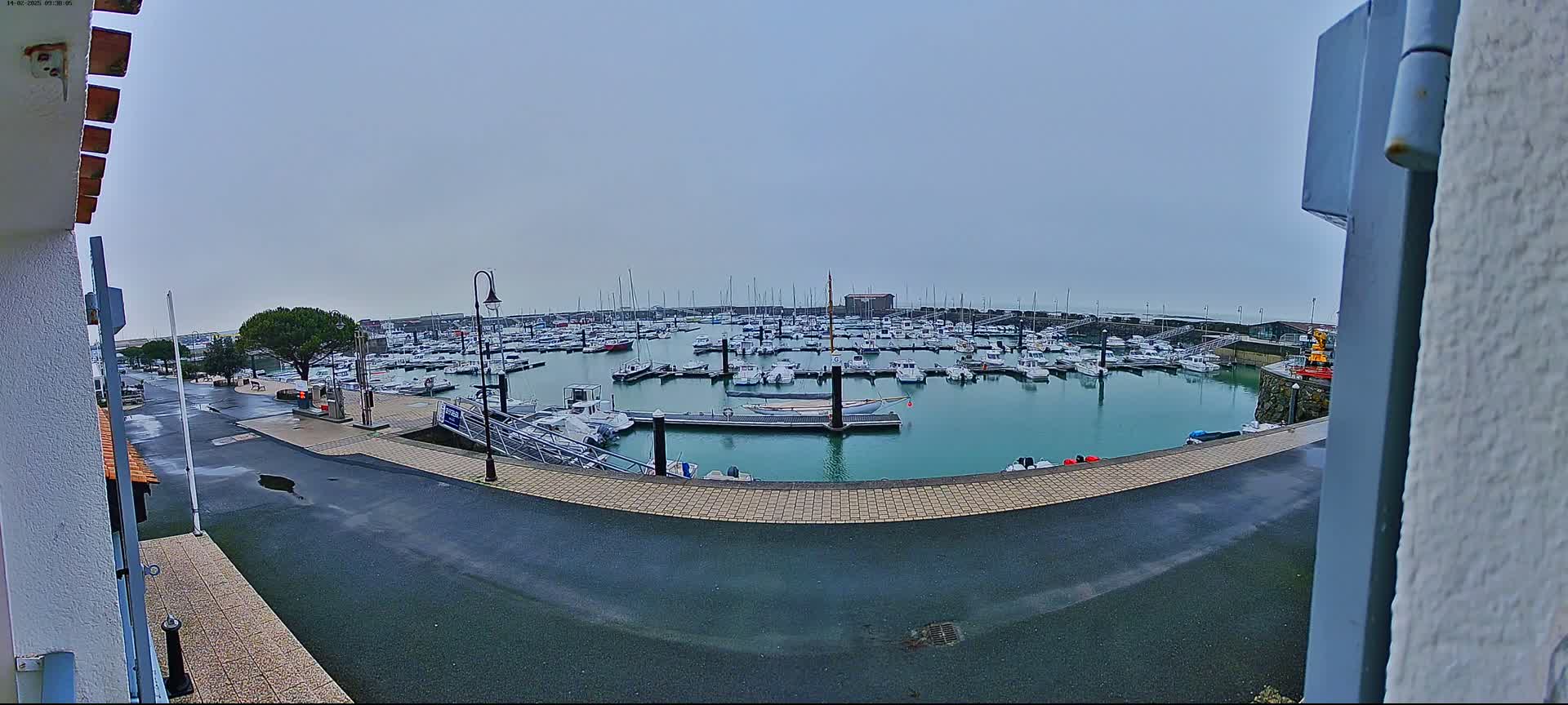 A marina filled with numerous boats is viewed from a slightly elevated position on an overcast day.