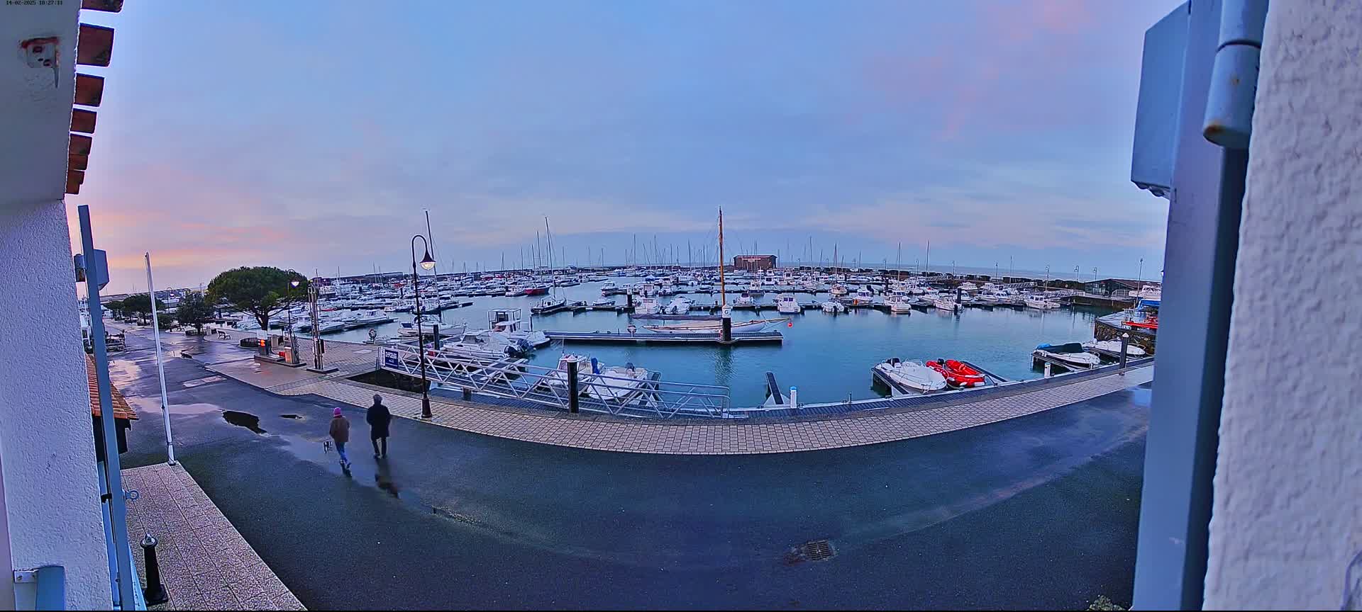 A wet, paved area overlooks a calm harbor filled with numerous boats under a pale, cloudy sky.