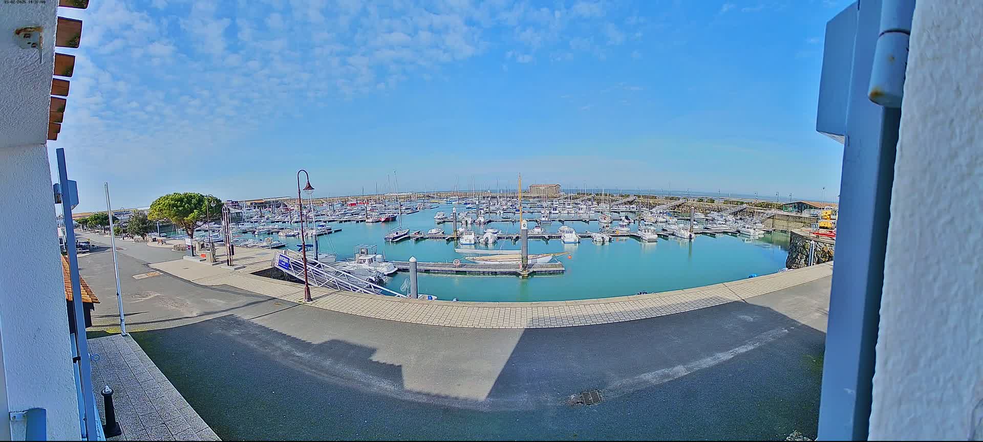 A marina filled with numerous boats is viewed from a slightly elevated position on a sunny day with a mostly clear sky.
