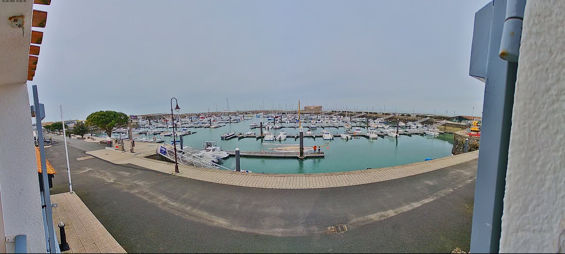 A marina filled with numerous boats is viewed from a slightly elevated position on an overcast day.