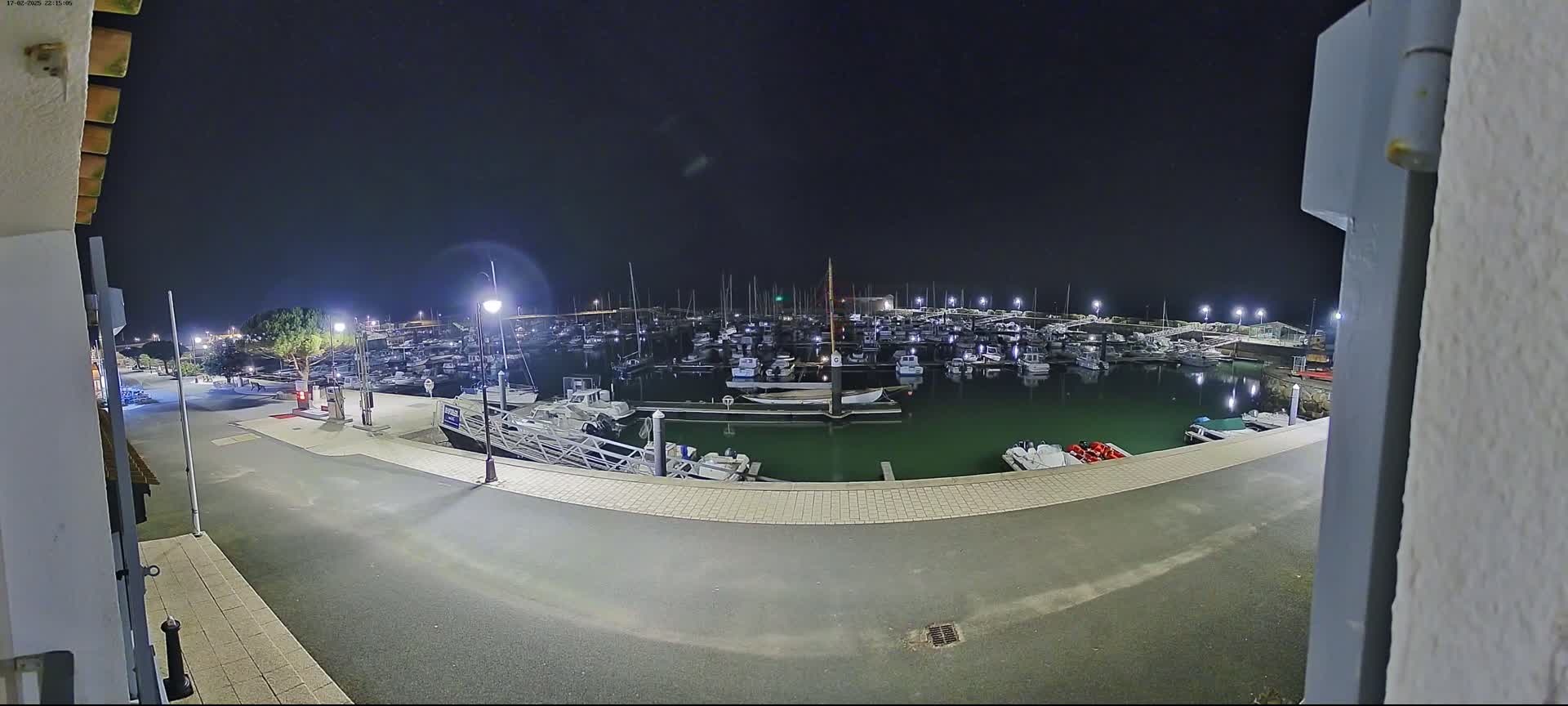 A nighttime view of a marina filled with numerous boats, illuminated by artificial lights under a clear, dark sky.