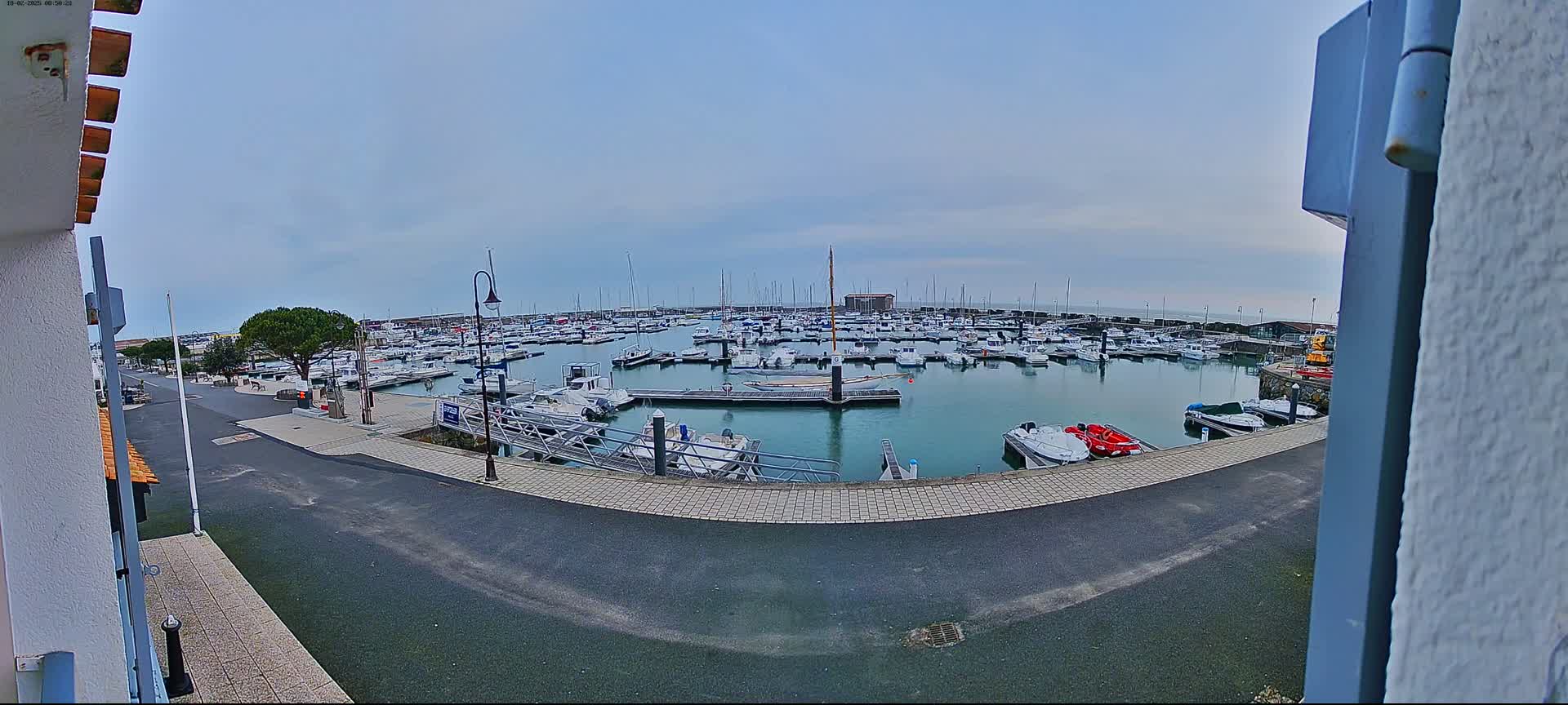 A harbor filled with numerous boats is viewed from a slightly elevated position on an overcast day.