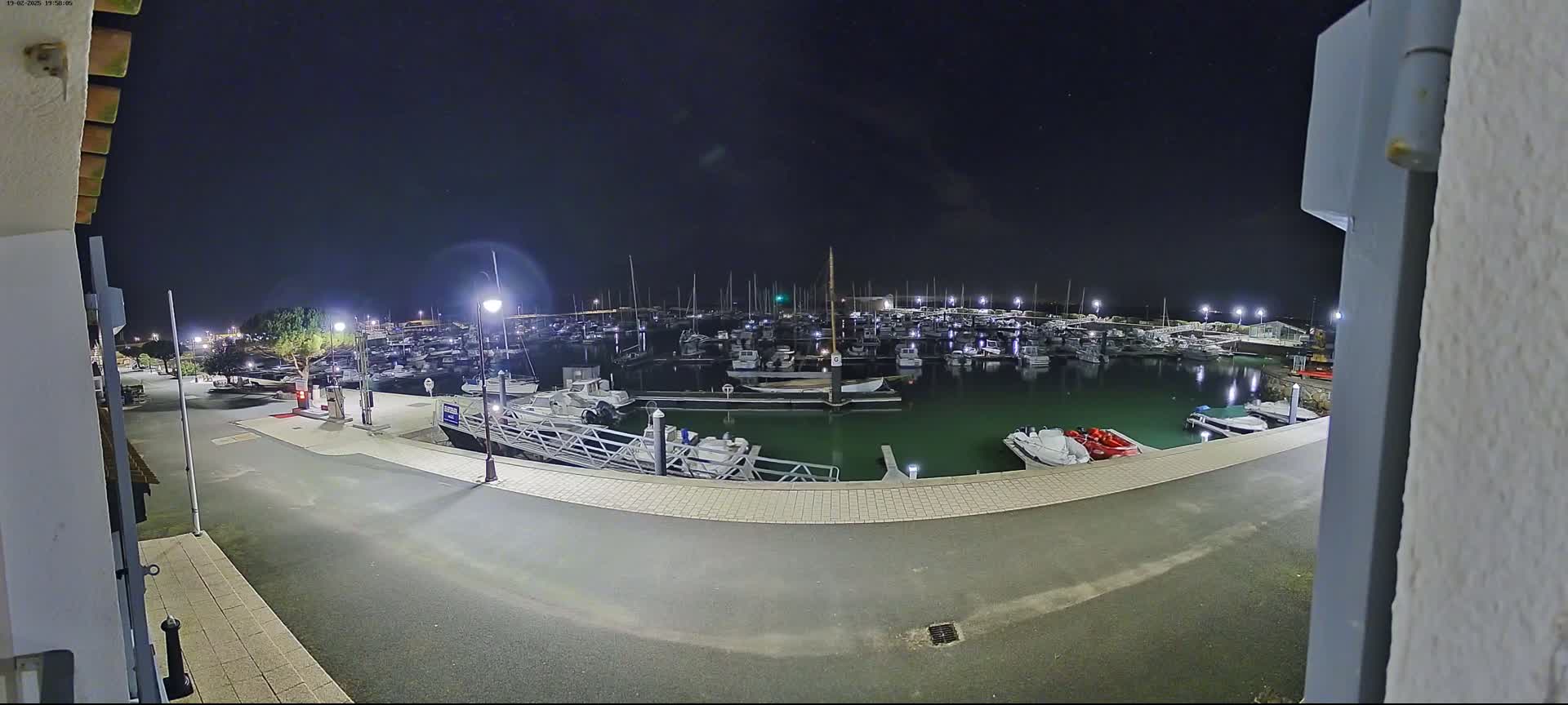 A nighttime view of a marina filled with docked boats under a clear, dark sky.