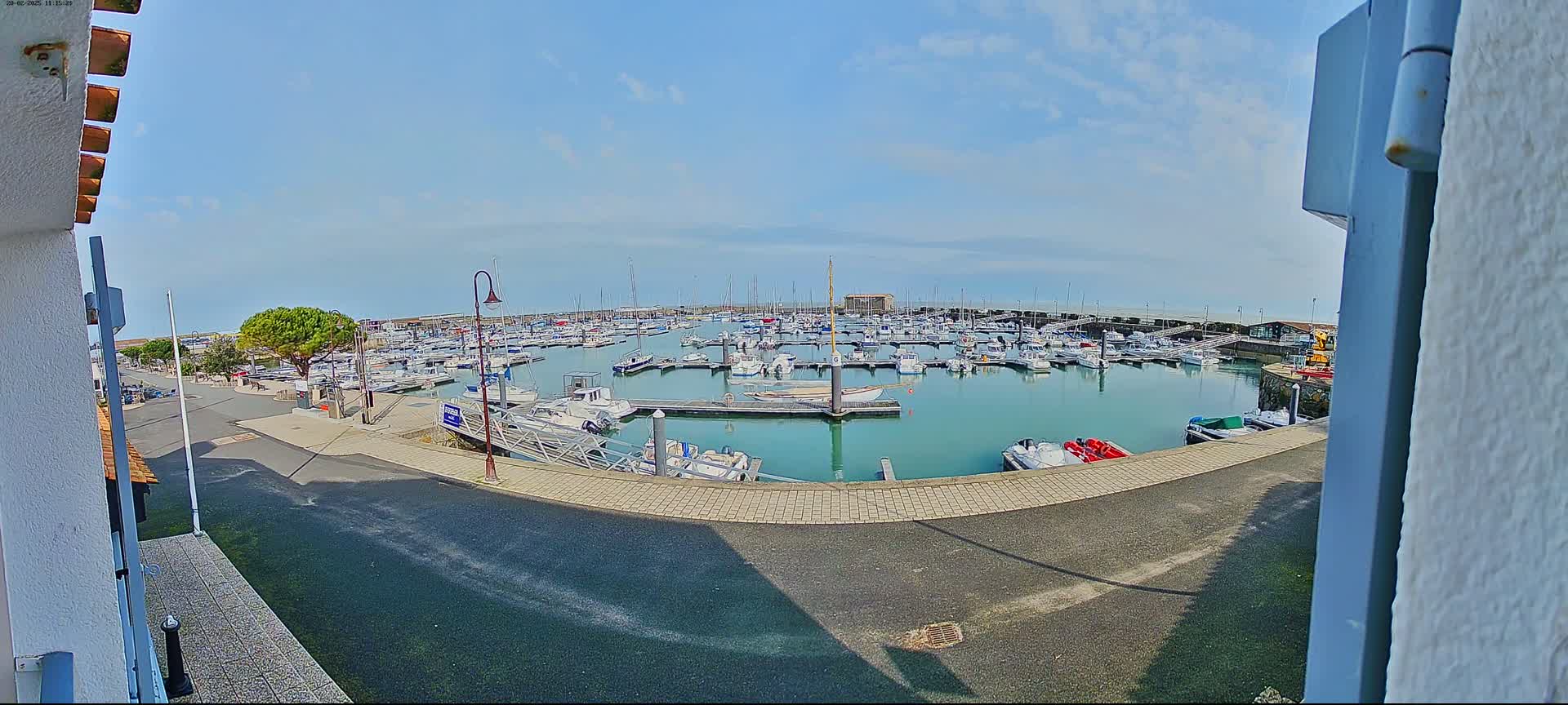 A marina filled with numerous boats is viewed from a slightly elevated vantage point on a sunny day.