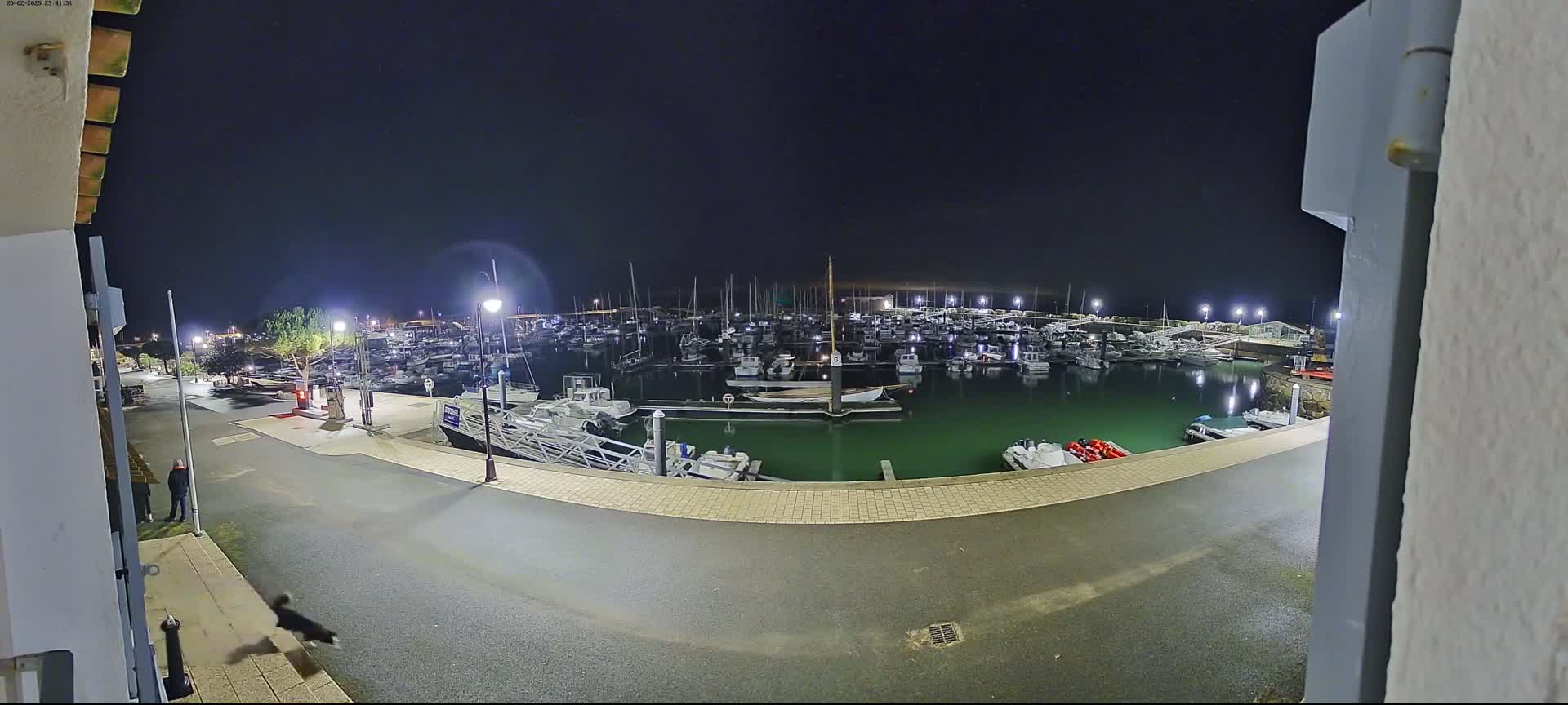 A nighttime view of a marina filled with numerous boats, illuminated by artificial lights, with a dark sky above and a paved area leading to the water.