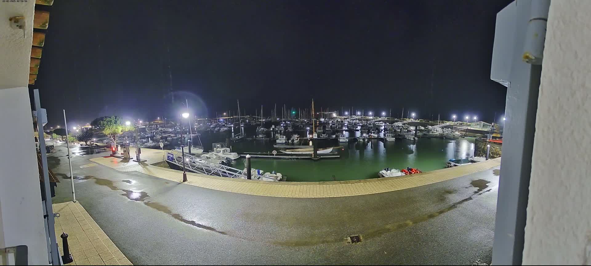 A wet, nighttime view of a marina filled with docked boats under illuminated lights.