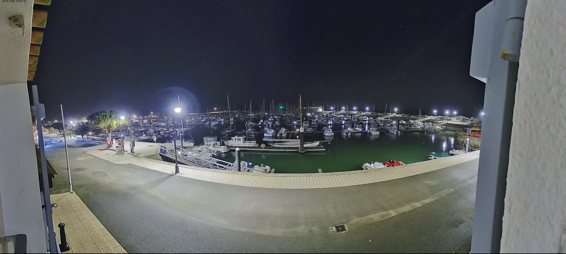 A nighttime view of a marina filled with numerous boats, illuminated by artificial lights under a clear, dark sky.