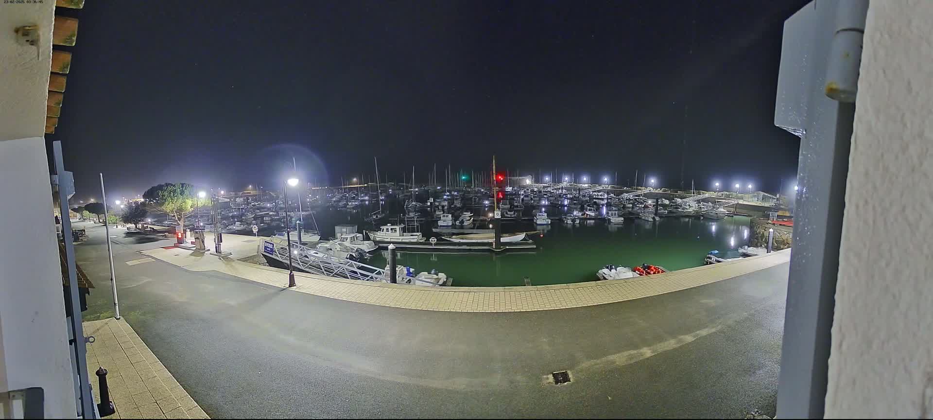 A nighttime view of a marina filled with boats under a clear, dark sky.