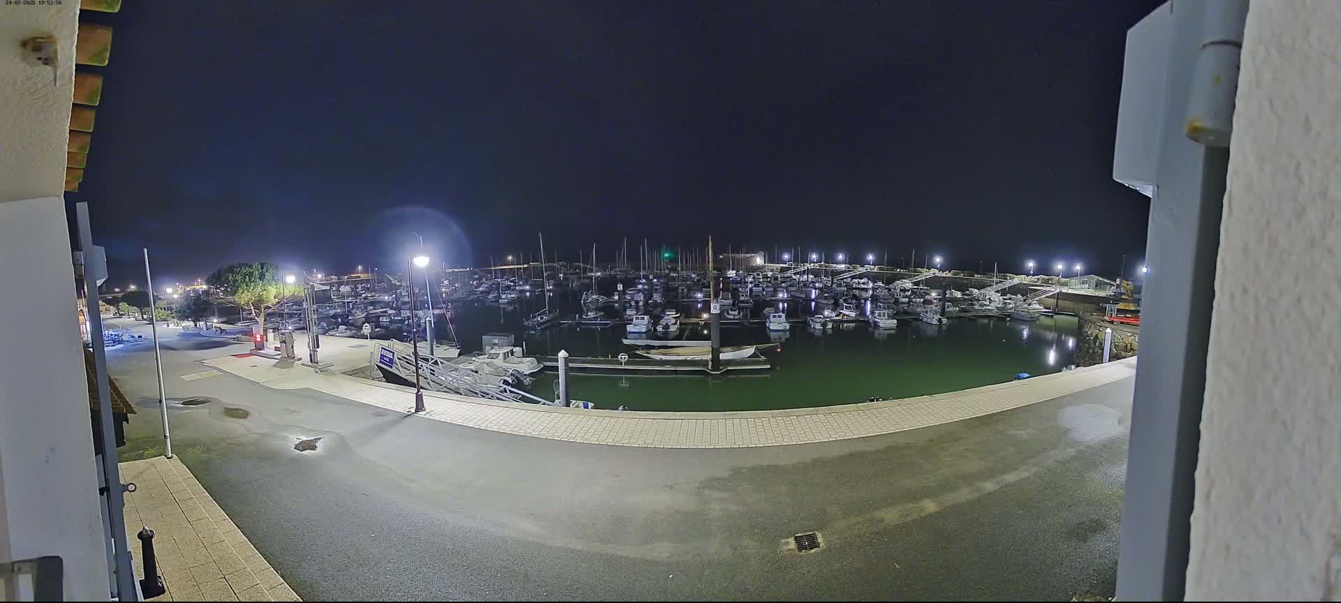 A nighttime view of a marina filled with numerous boats, illuminated by artificial lights under a clear, dark sky.