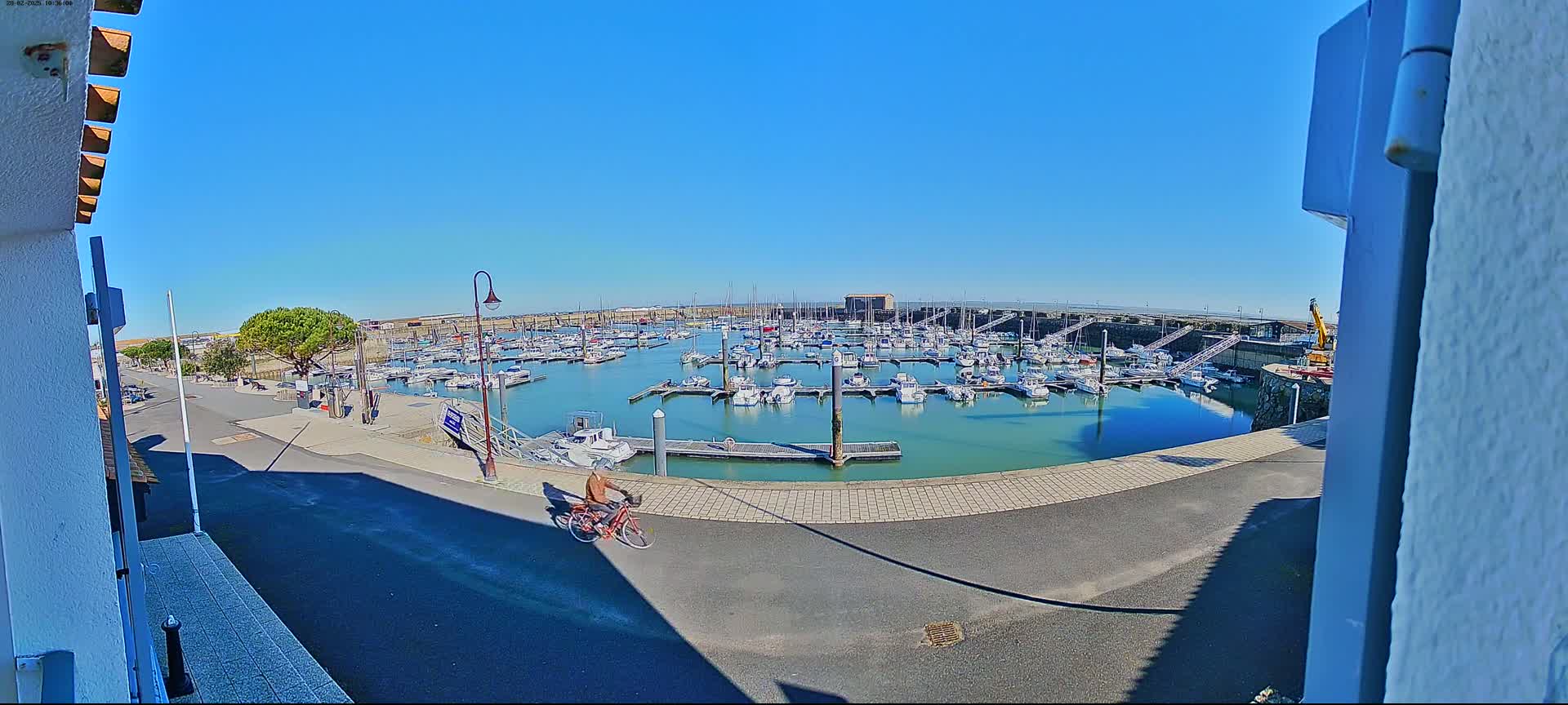 A person rides a bicycle along a paved road overlooking a marina filled with numerous boats on a sunny day.