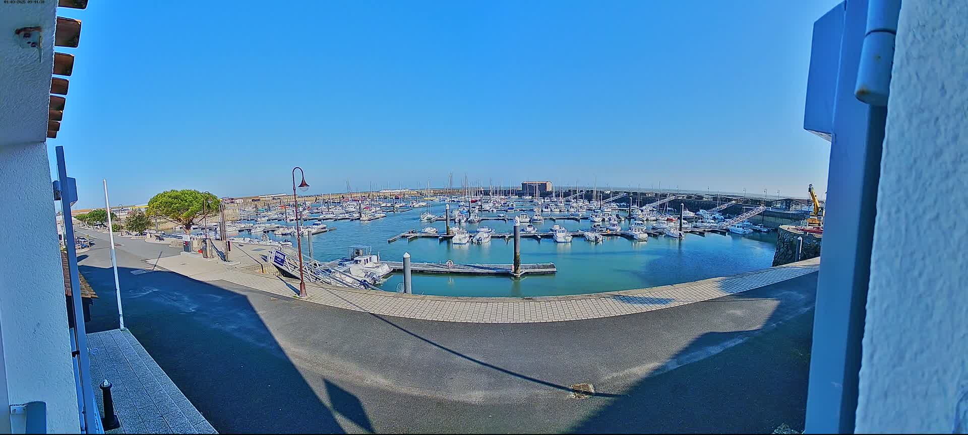 A marina filled with numerous boats is viewed from a slightly elevated vantage point on a sunny day.