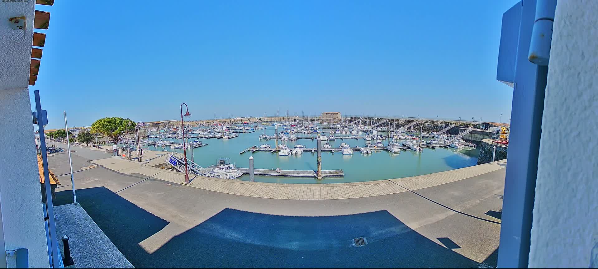 A marina filled with numerous boats on a sunny day is viewed from a slightly elevated position.