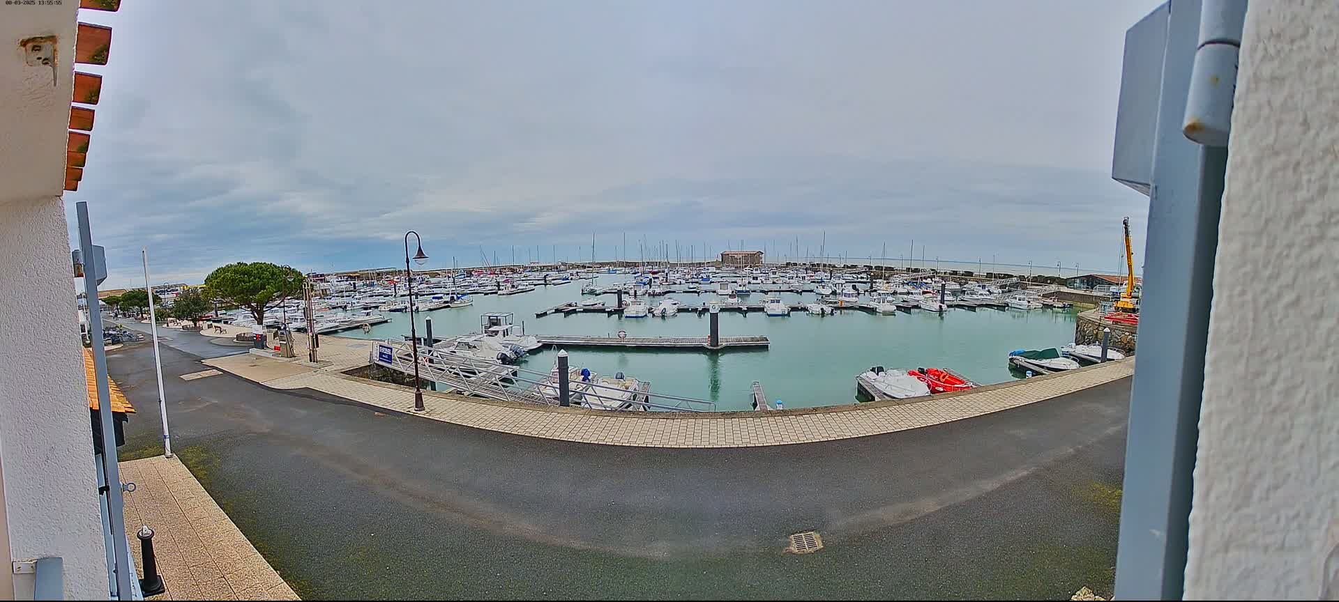 A marina filled with numerous boats is viewed from a slightly elevated position on an overcast day.