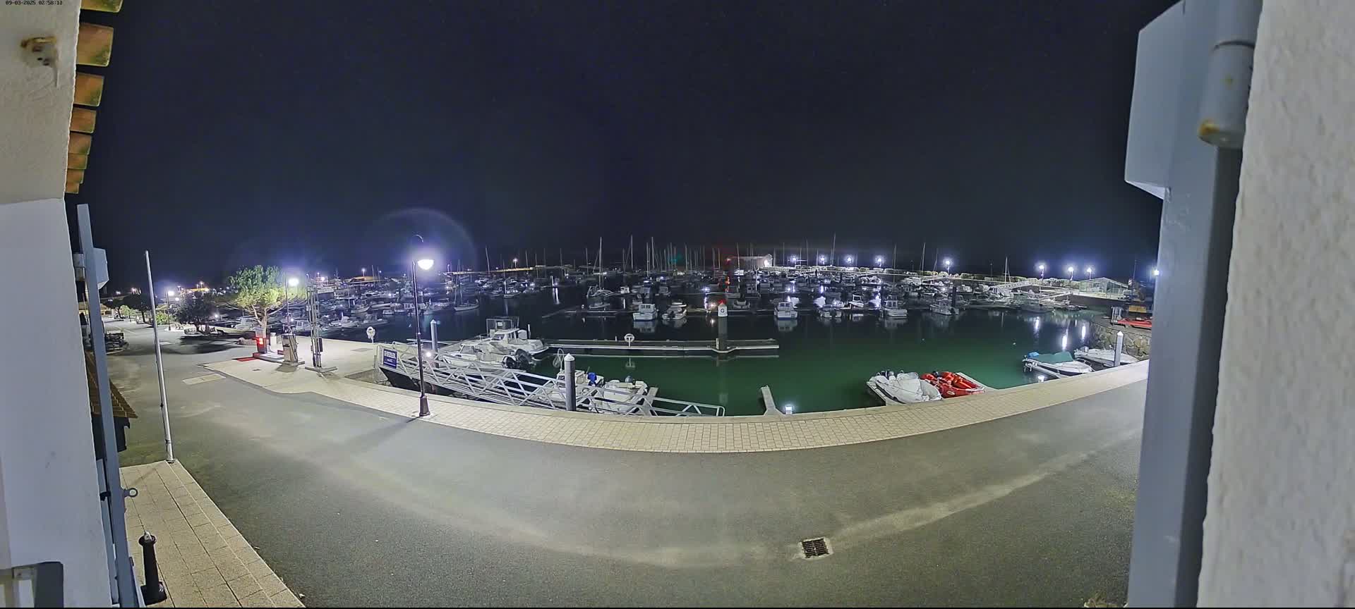 A nighttime view of a marina filled with numerous boats, illuminated by artificial lights under a clear, dark sky.