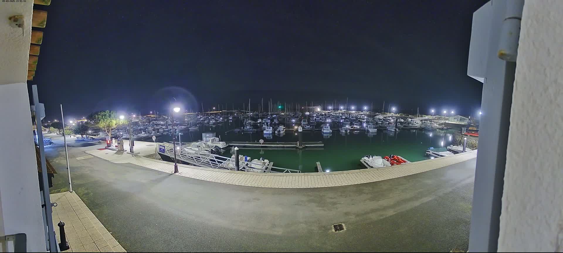 A nighttime view of a marina filled with numerous boats under a clear, starry sky.