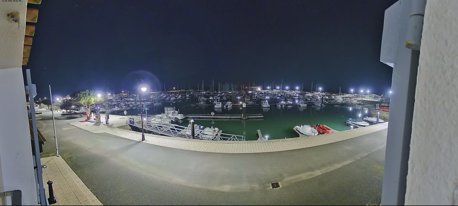 A marina filled with numerous boats is illuminated at night under a clear, dark sky.
