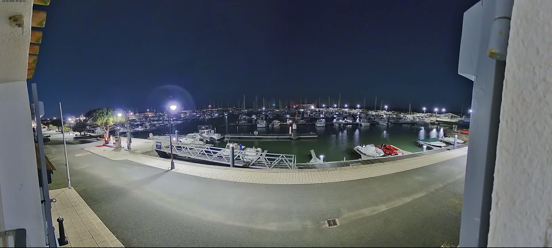 A marina filled with numerous boats is illuminated at night under a clear, dark sky.