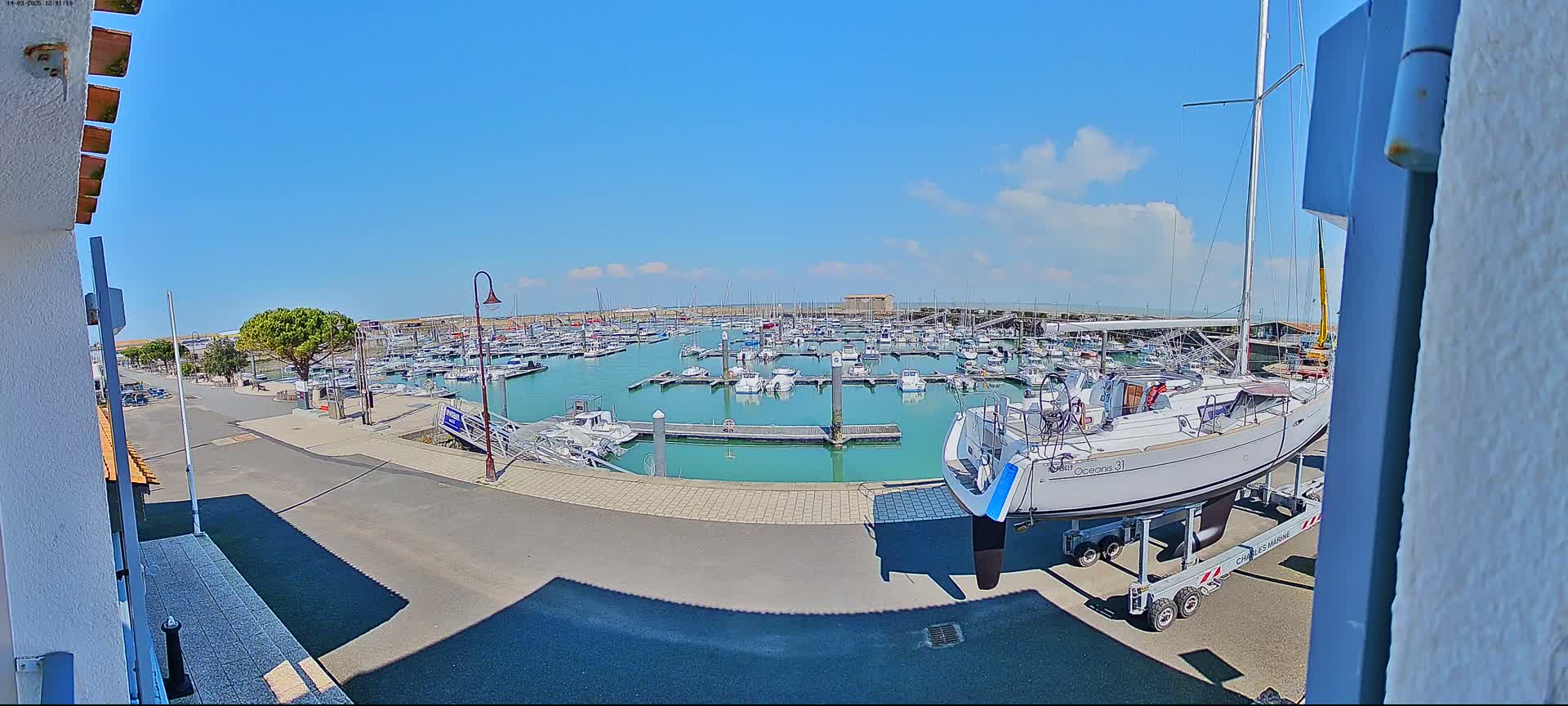A sunny day shows a marina filled with numerous boats, with one sailboat on a trailer in the foreground.