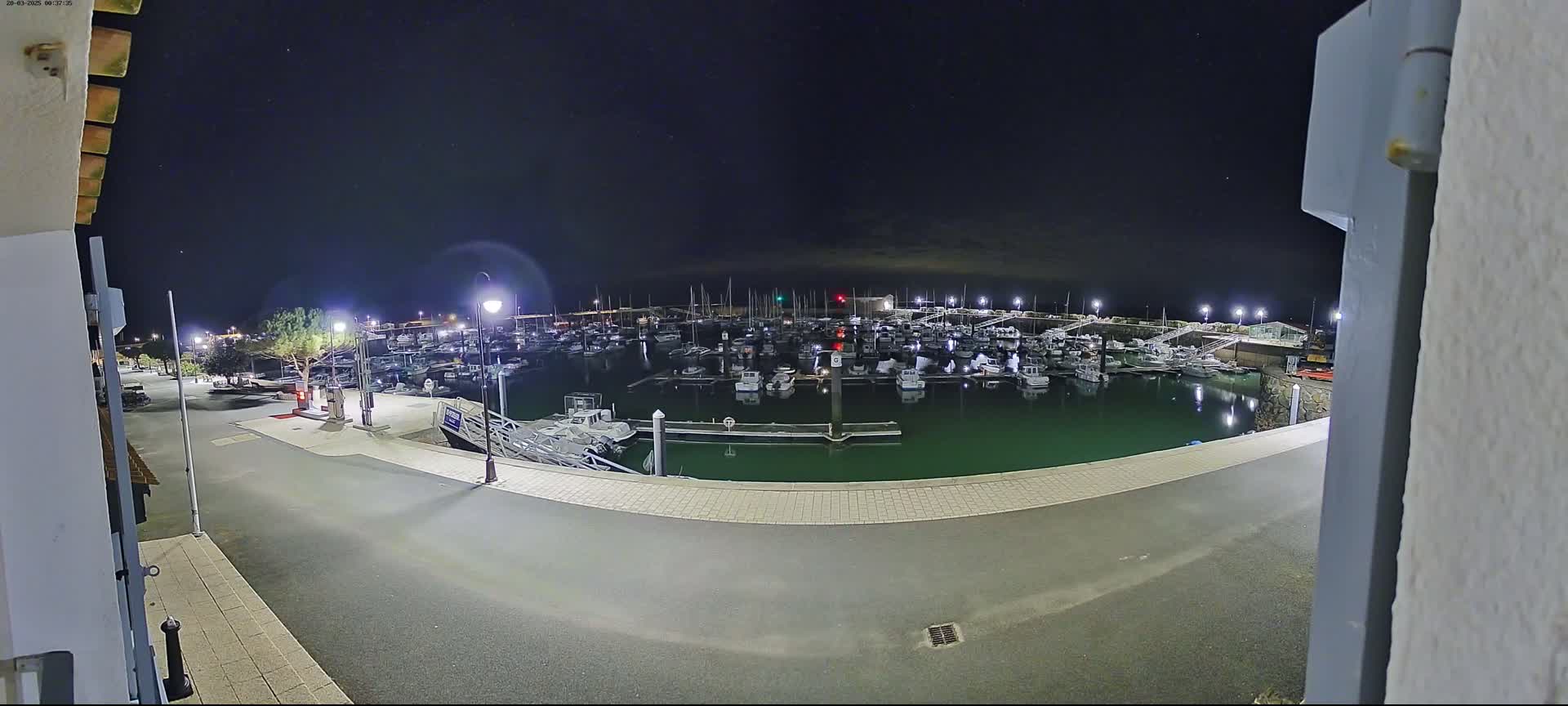 A nighttime view of a marina filled with numerous boats under a clear, starry sky.