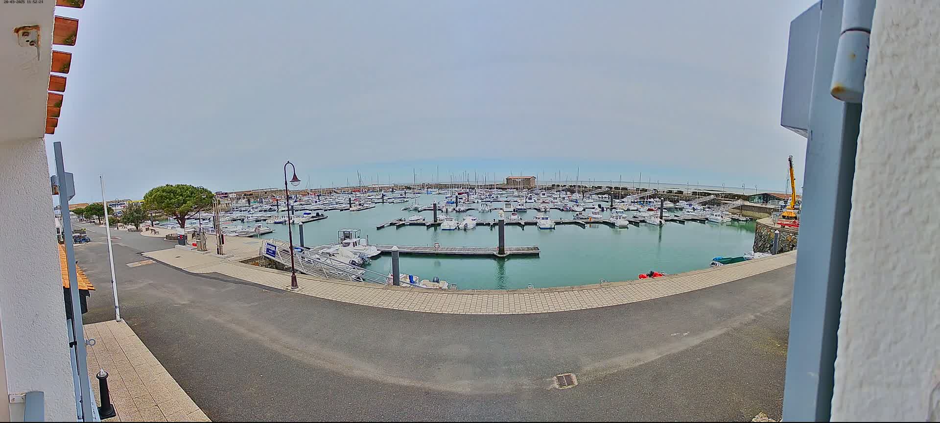 A marina filled with numerous boats is seen on a cloudy day, viewed from a nearby roadway.
