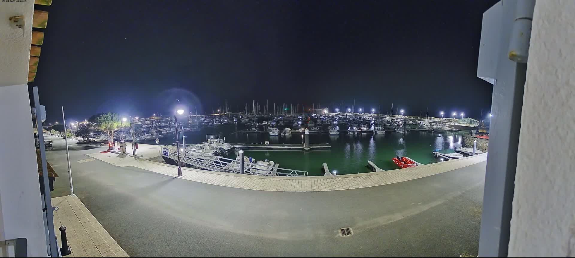 A marina at night, filled with numerous boats moored in calm, dark green water under a clear, starry sky.