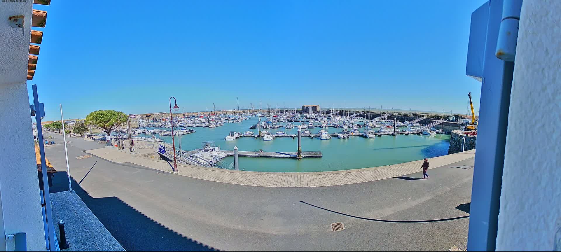 A marina filled with numerous boats is seen on a sunny day, with a person walking along the paved waterfront.